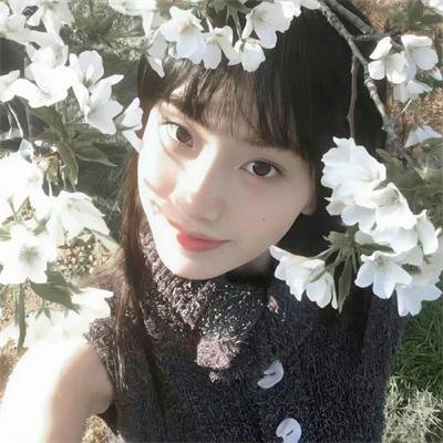 美国不平等的根源